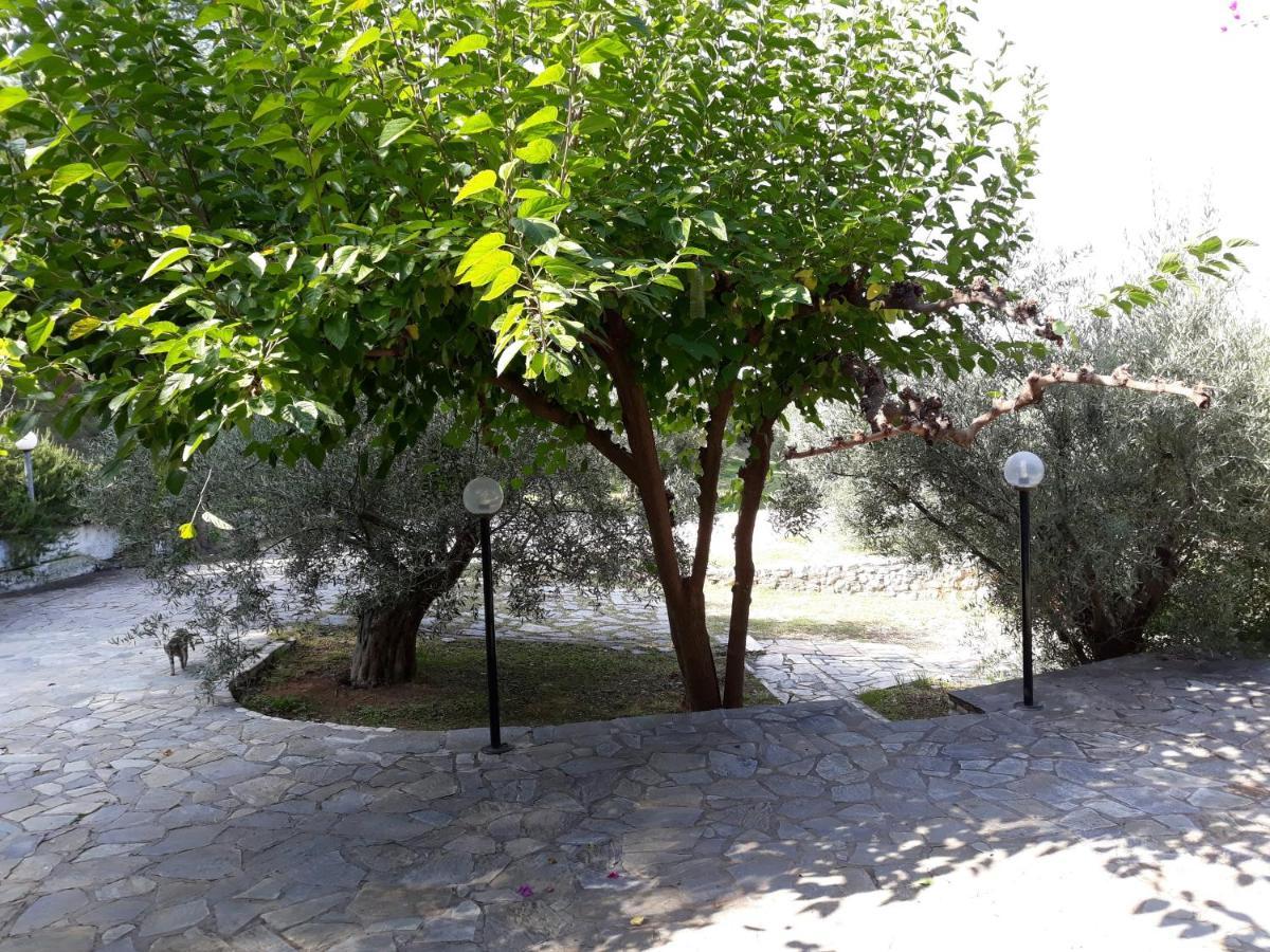 Σπίτι Σε Ελαιώνα, House In An Olive Grove Apartment Aria Exterior photo