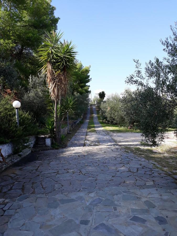Σπίτι Σε Ελαιώνα, House In An Olive Grove Apartment Aria Exterior photo